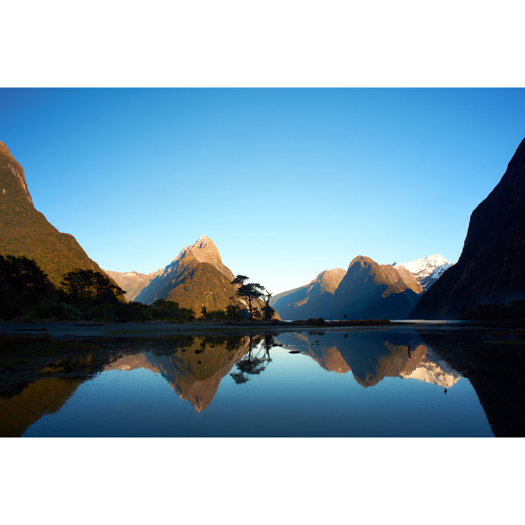 Milford Sound in der Morgendämmerung