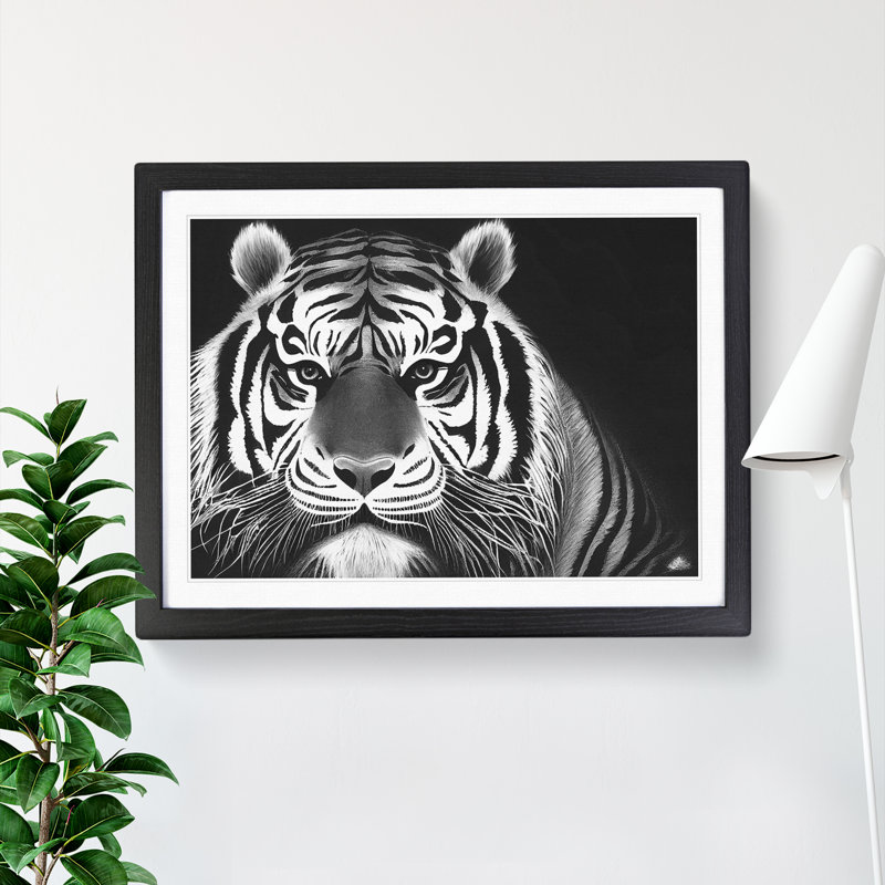 Tiger - Single Picture Frame Print, Black Framed, 46cm H x 64cm W
