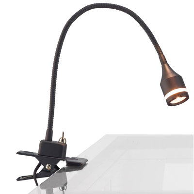 Winnie Adjustable Metal Clip On Lamp