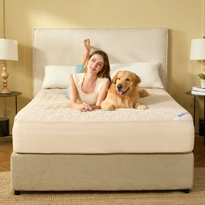 BEDLORE® Noiseless Waterproof Mattress Protector, Hypoallergenic Quilted Washable Mattress Cover, Breathable Mattress Pad with 6-18'' Deep Pocket