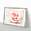 Pale Pink Rose - Picture Frame Graphic Art Print-56704372-56704375