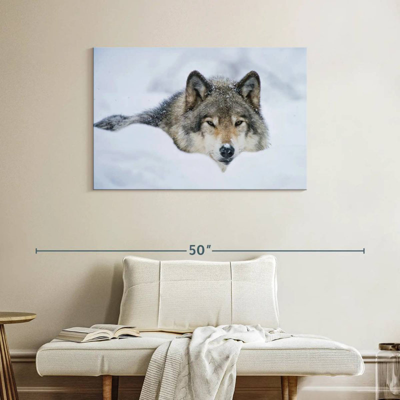 Wolf In Snow, H 26 po x l 39 po