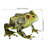 Frog Decor 13"
