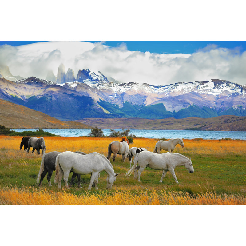 Horses Grazing - Wrapped Canvas Print, 30cm H x 46cm W x 3.8cm D