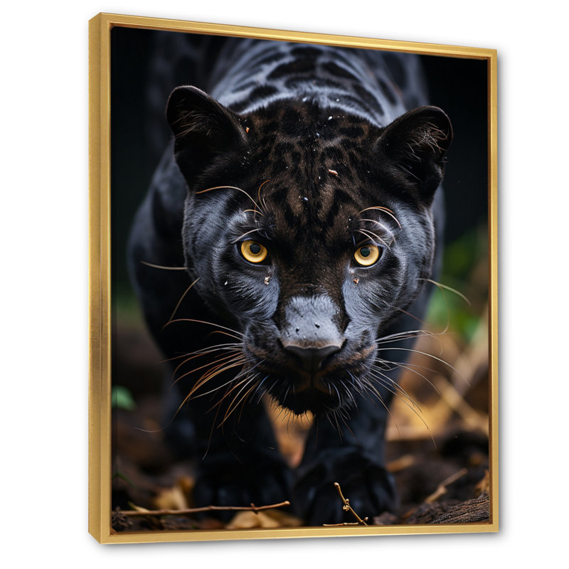 «Black White Animal Panther Portrait II», reproduction sur toile, H 44 po x l 34 po x P 1,5 po, Cadre flottant doré