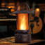 Renard flamme-120295459