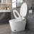 Intelligent One-piece Toilets With Bidet, Ceramic Design, Ideal For Modern Home