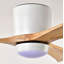 Ventilateur de plafond encastré industriel réversible à télécommande avec moteur à courant continu-130156469