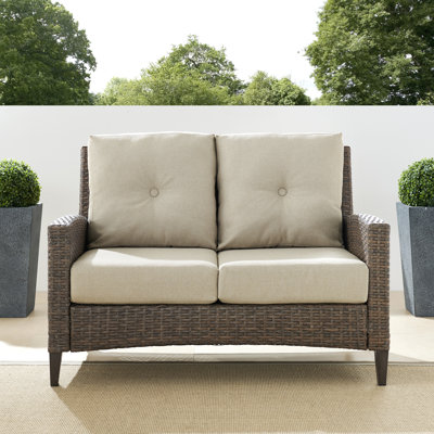 Allis 53.25 " W Metal Loveseat with Cushions