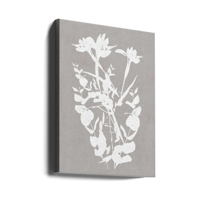 Illustration botanique 1
