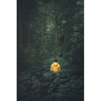 Young Man Hiking by Serts