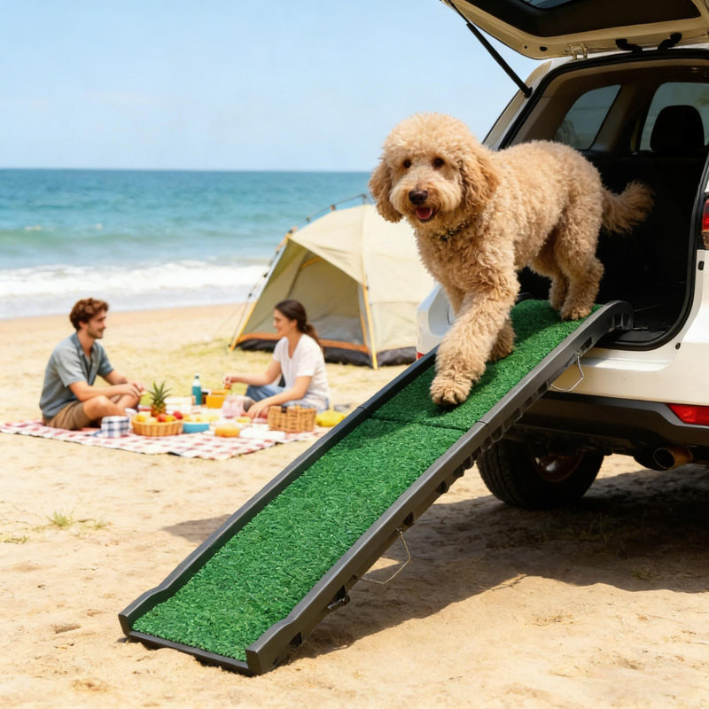Rampe pliante pour animal de compagnie, Noir/vert