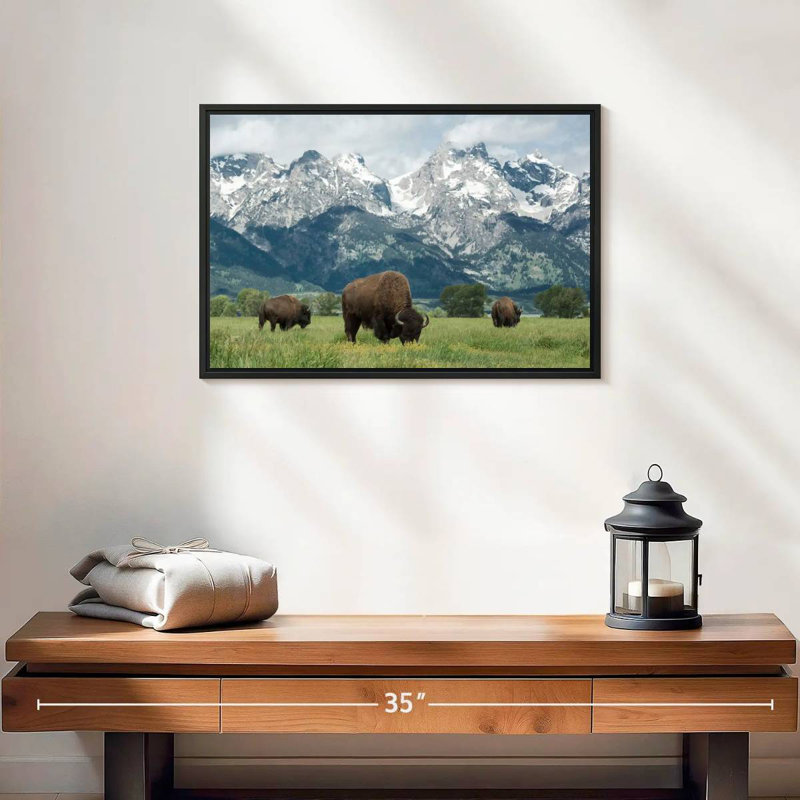 Bison Teton broutant, 19 po x 13 po, Cadre flottant noir