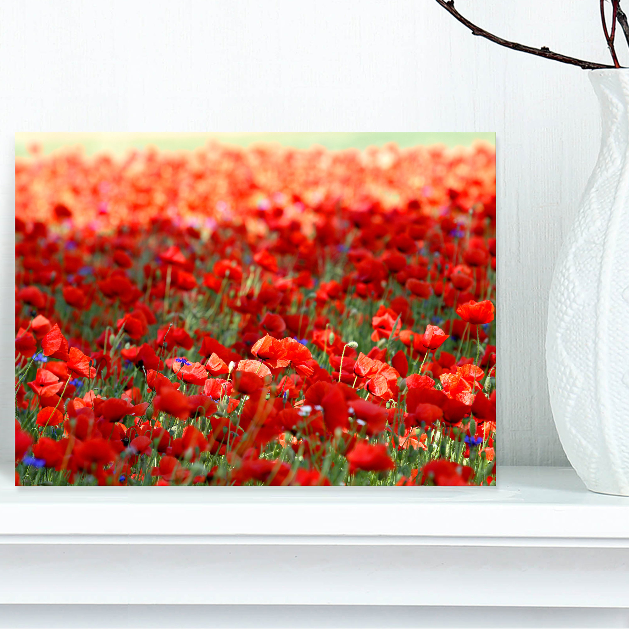 Design Art Thick Red Poppy Flower Field - Wrapped Canvas Photograph ...