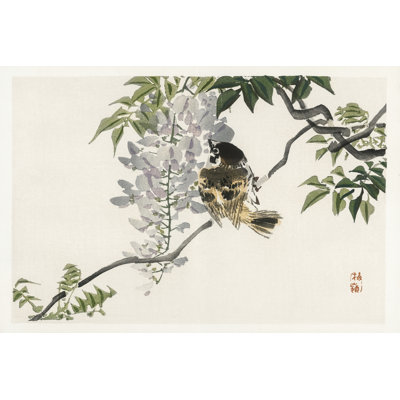 " Kono Bairei Songbirds II " by Vision Studio
