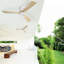 52 Inch Wooden Ceiling Fan With 3 Solid Wood Blades Remote Control Reversible DC Motor Witout Light-620602962