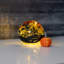Globe de verre d'Halloween à piles