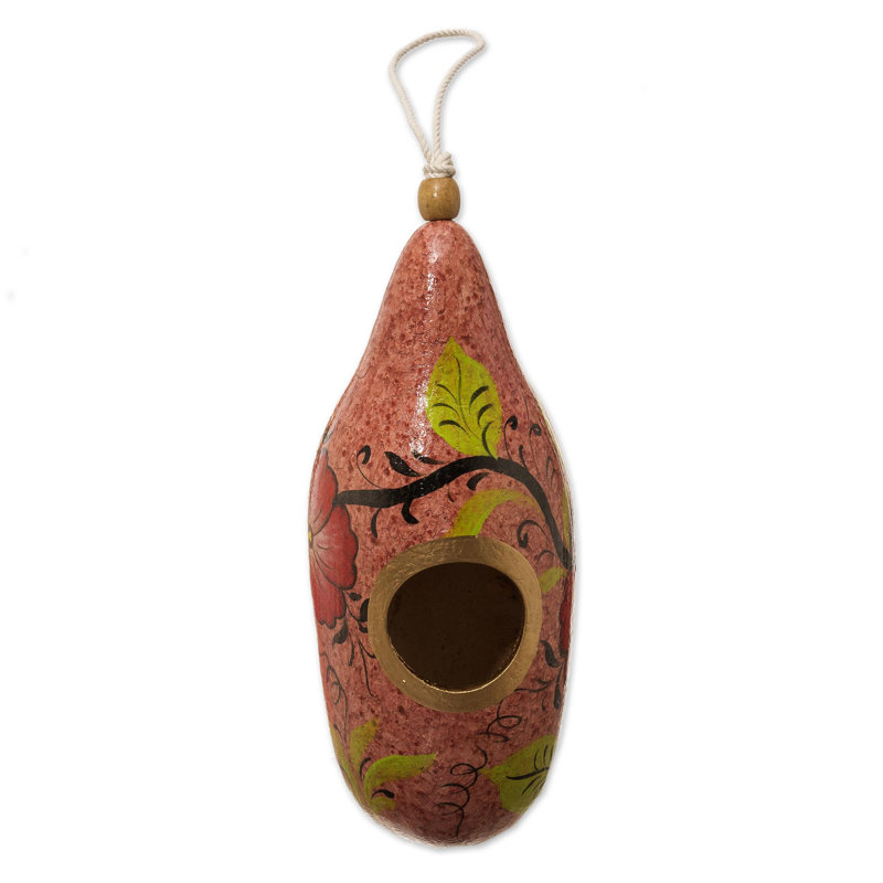 Maison d'oiseaux 11,5 po x 4 po x 0,5 po Gourd