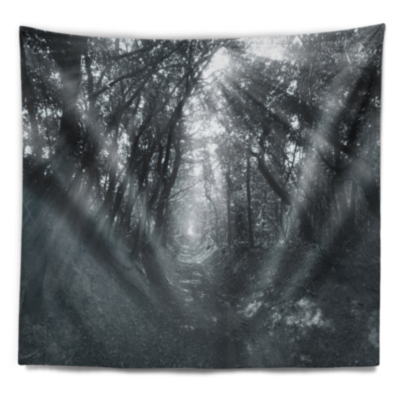 Tapisserie Schafer Sun Rays Through Grey Trees, H 32 po x l 39 po