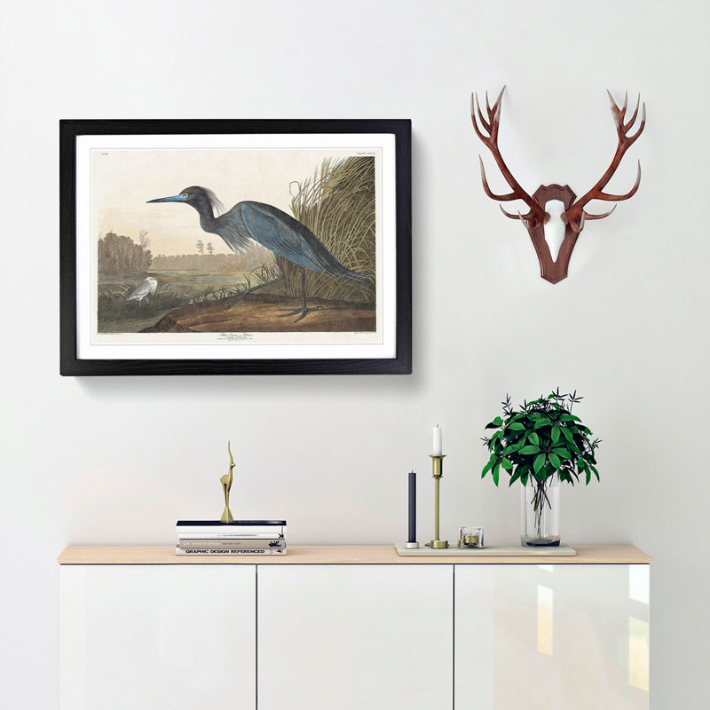 Blue Heron by John James Audubon - Picture Frame Art Print, 27cm H x 36cm W x 2cm D, Black Framed
