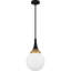 Luminaire suspendu noir mat 1 lumière Carlysle