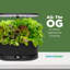 Noir AeroGarden Bounty