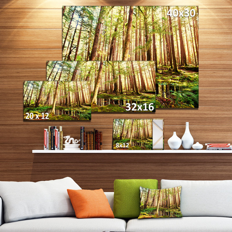 Dense Trees in Green Rain Forest Landscape Canvas Print