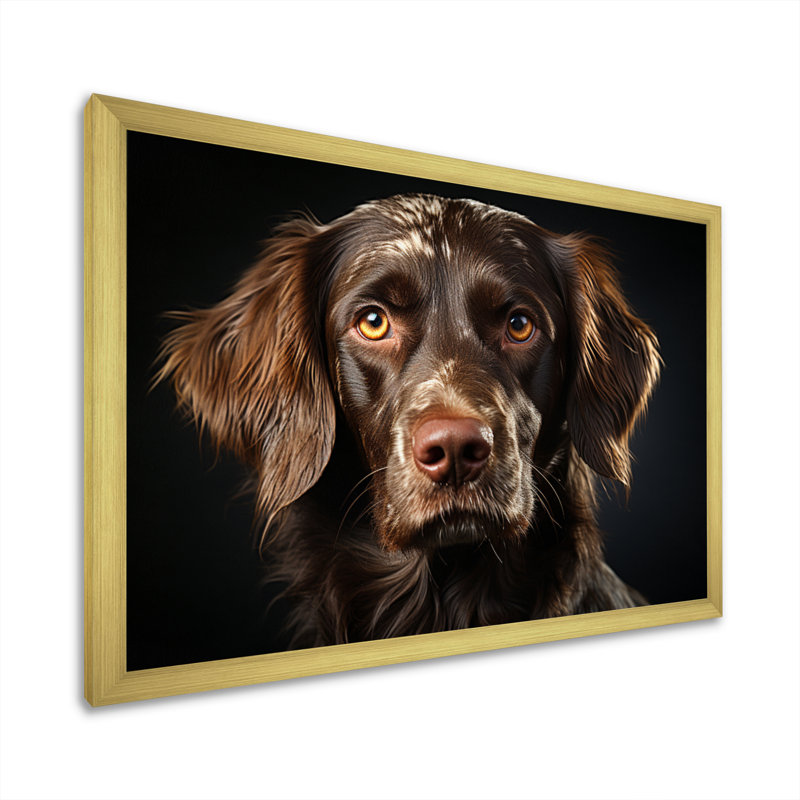 Portrait de chien II - impression, H 34 po x l 44 po x P 1,5 po, Cadre doré à une seule photo