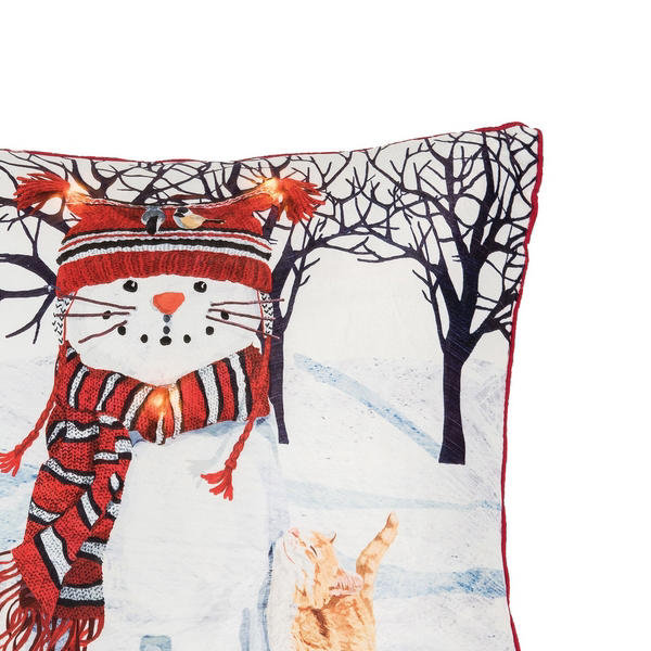 Coussin Aswath
