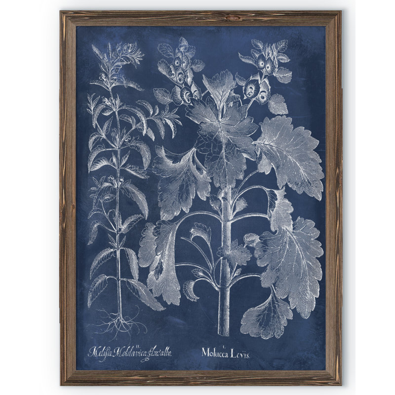 «Besler Leaves in Indigo I» par Paul Cezanne - reproduction d'art encadrée, H 30 po x l 22 po x P 1 po