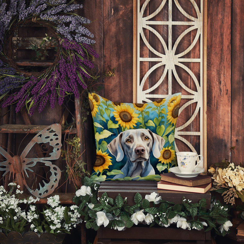 Coussin décoratif intérieur / extérieur Autre / Sans motif, H 14 po x l 14 po