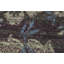One-of-a-Kind 8' X 10' Area Rug