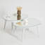 Neostill Coffee Table