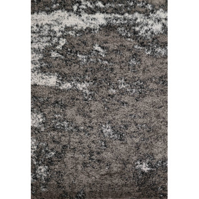 Tarbox Solid Colour Shag Area Rug