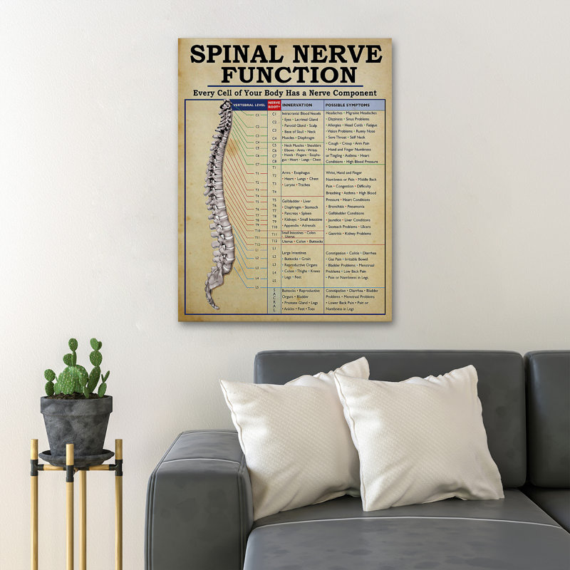 Spinal Nerve Function Analysis - Spianl Nerve Function - 1 Piece Rectangle Graphic Art Print On Wrapped Canvas