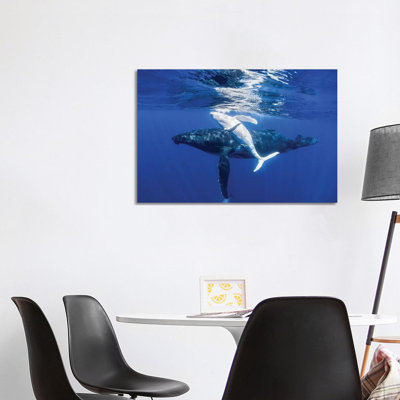 «The Dancing Whale» par Jordan Robins - reproduction d'art