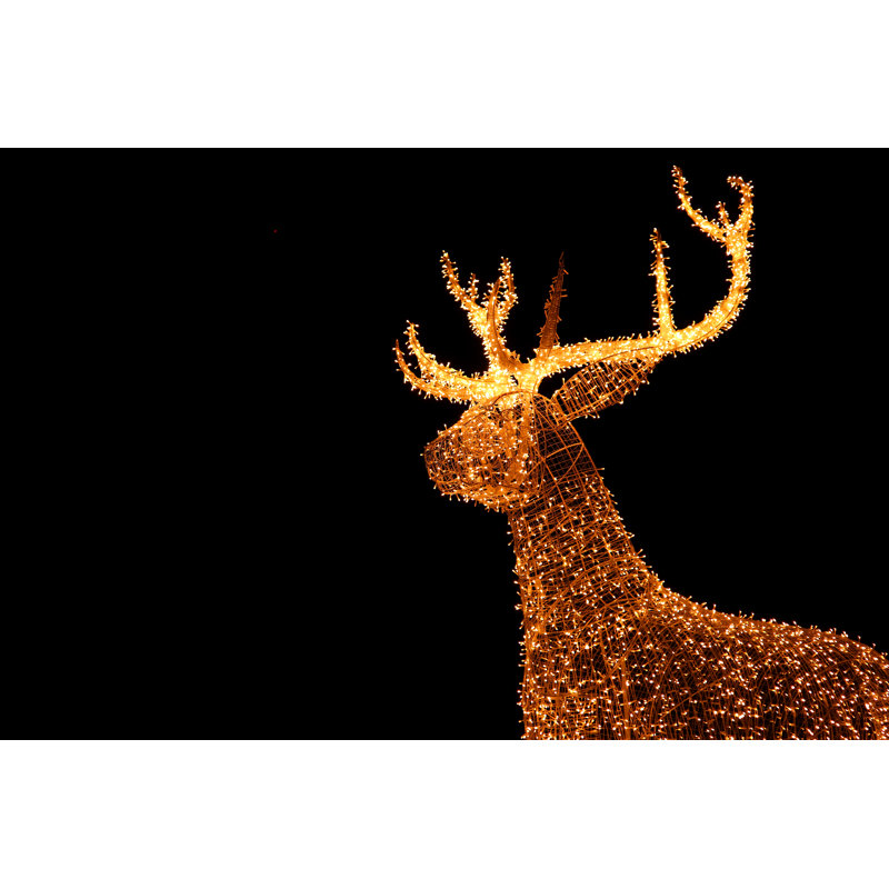 Reindeer Christmas Decoration by Lovelypeace - Wrapped Canvas Print, 30cm H x 46cm W x 3.8cm D