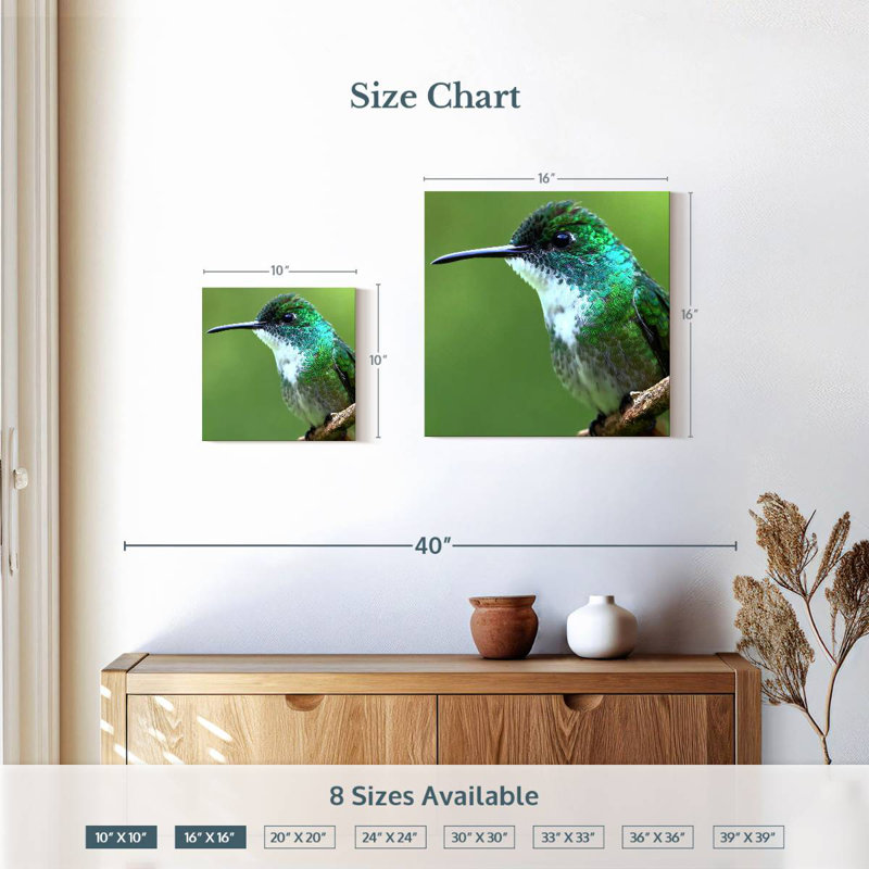 Brampt Starthroat Hummingbird, 10" H x 10" W
