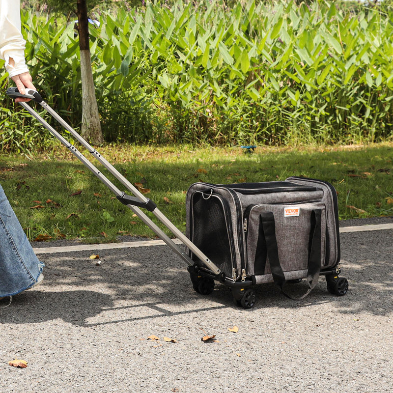 Porte-chat avec roulettes, transporteur approuvé par la compagnie aérienne