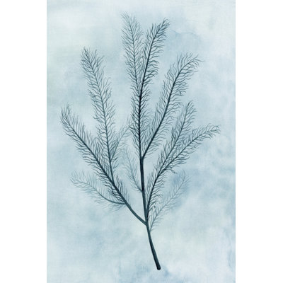 Clouds And Coral II by Grace Popp - Wrapped Canvas Print