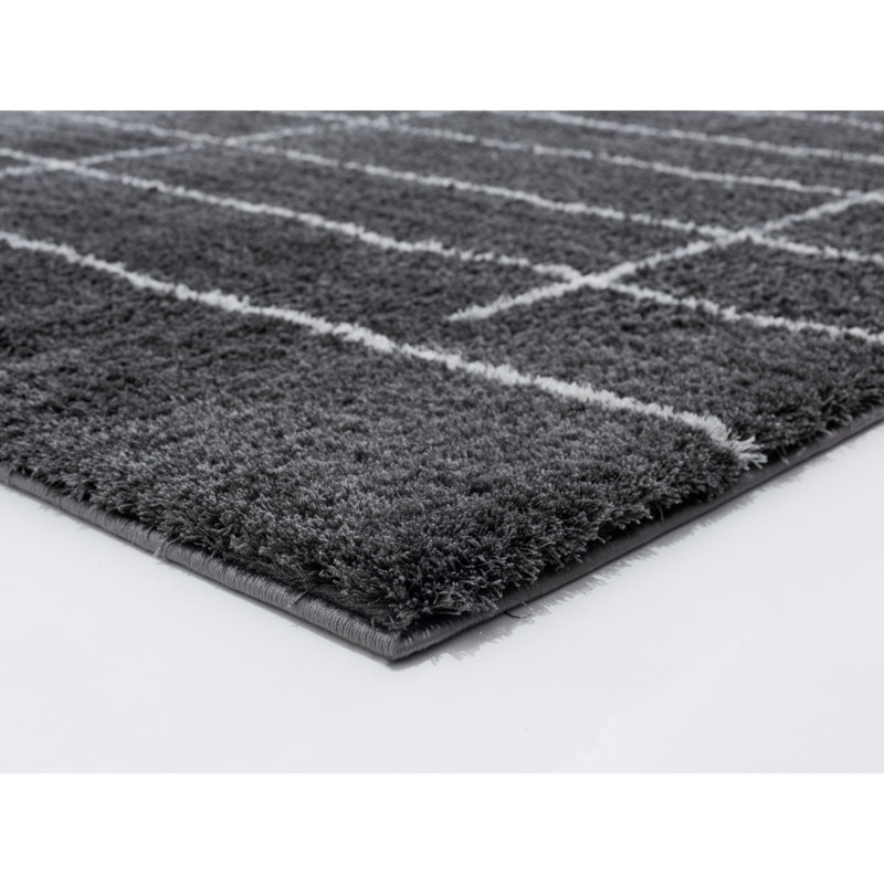 Tapis gris foncé à poils longs Ilwell Concordia, Rectangle 1 pi 11 po x 3 pi