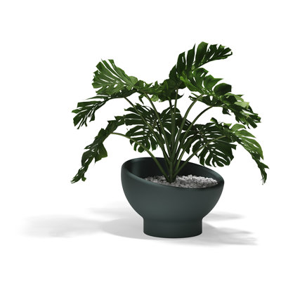 Luna Planter