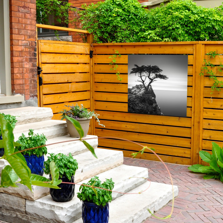 The Lone Cypress Outdoor Wall Decor Latitude Run Size: 24 W x 24 H