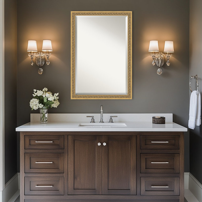 Miroir de salle de bain mural Carter, 27,5 po x 39,5 po