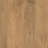 Wilhelmina Contemporary Brown Handmade Mango Wood Rectangular Coffee Table