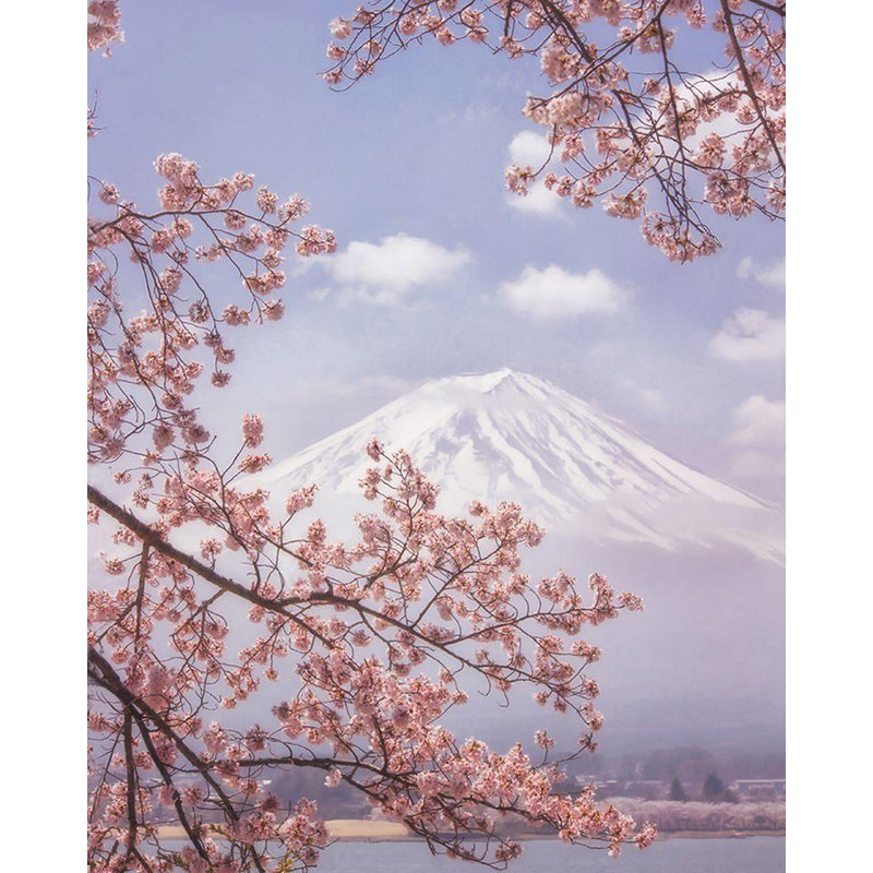 «Lark Manor ™», art de la galerie Makiko sur la même toile, titré: Mt. Fuji In The Cherry Blossoms 1814323, H 44 po x l 36 po