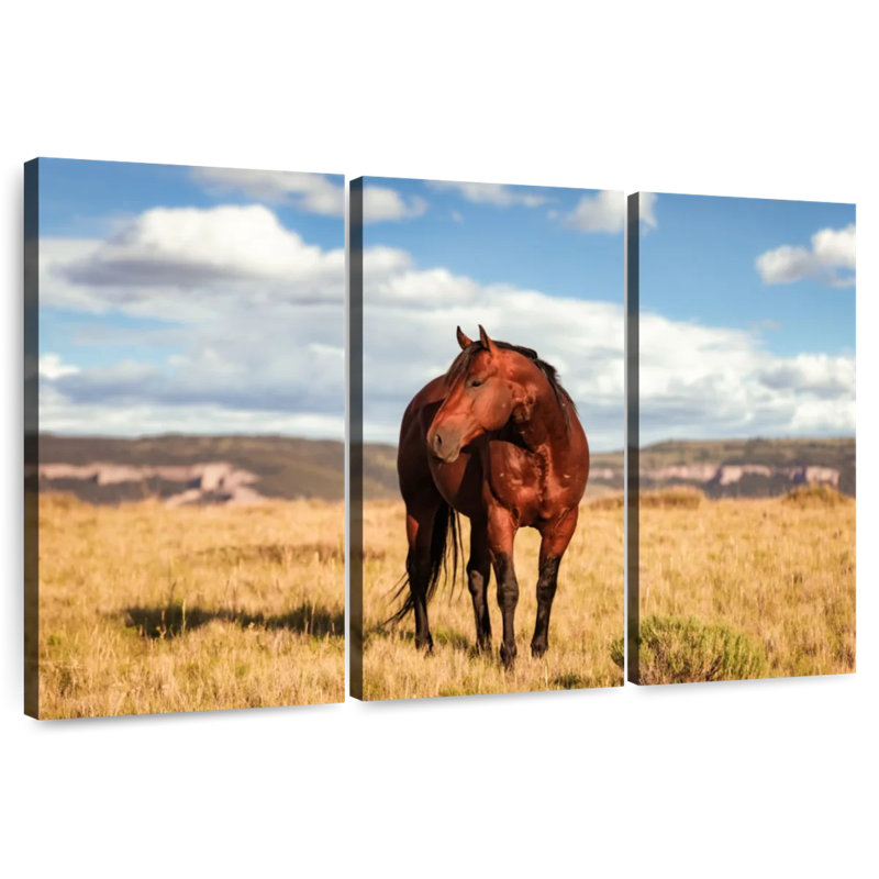 Wild Quarter Horse, 32" H x 50" W