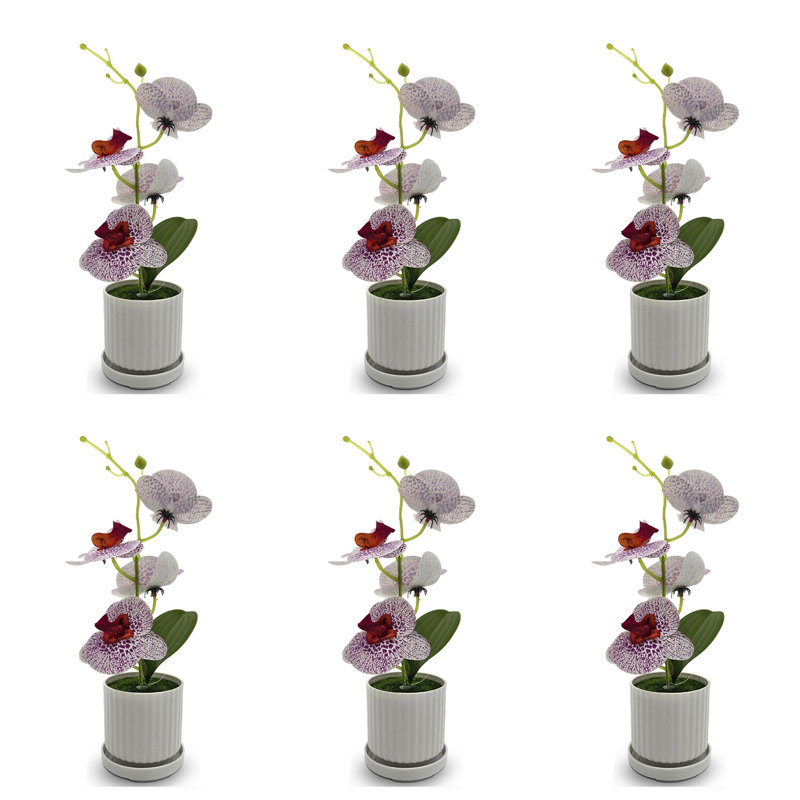 Nedka Hydrangea Arrangement in Vase