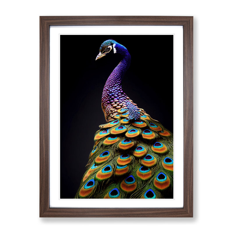XV1022-159X A Stunning Peacock - Single Picture Frame Print, 34cm H x 25cm W, Brown