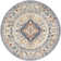 Machine Woven Blue/Brown/Grey Indoor Rug